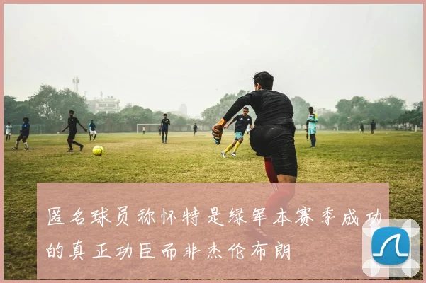 匿名球员称怀特是绿军本赛季成功的真正功臣而非杰伦布朗